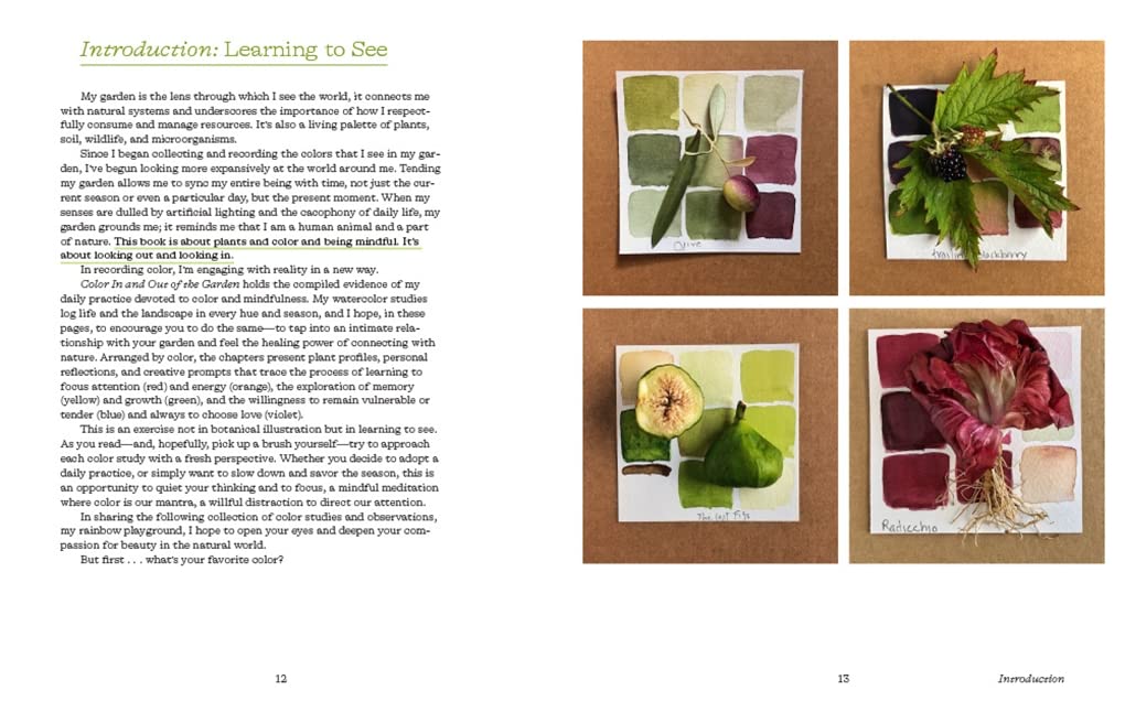 Color In and Out of the Garden: Watercolor Painting Techniques for Artists, Gardeners & Nature Lovers - Perfect for Botanical Art, Nature Journaling & Relaxation