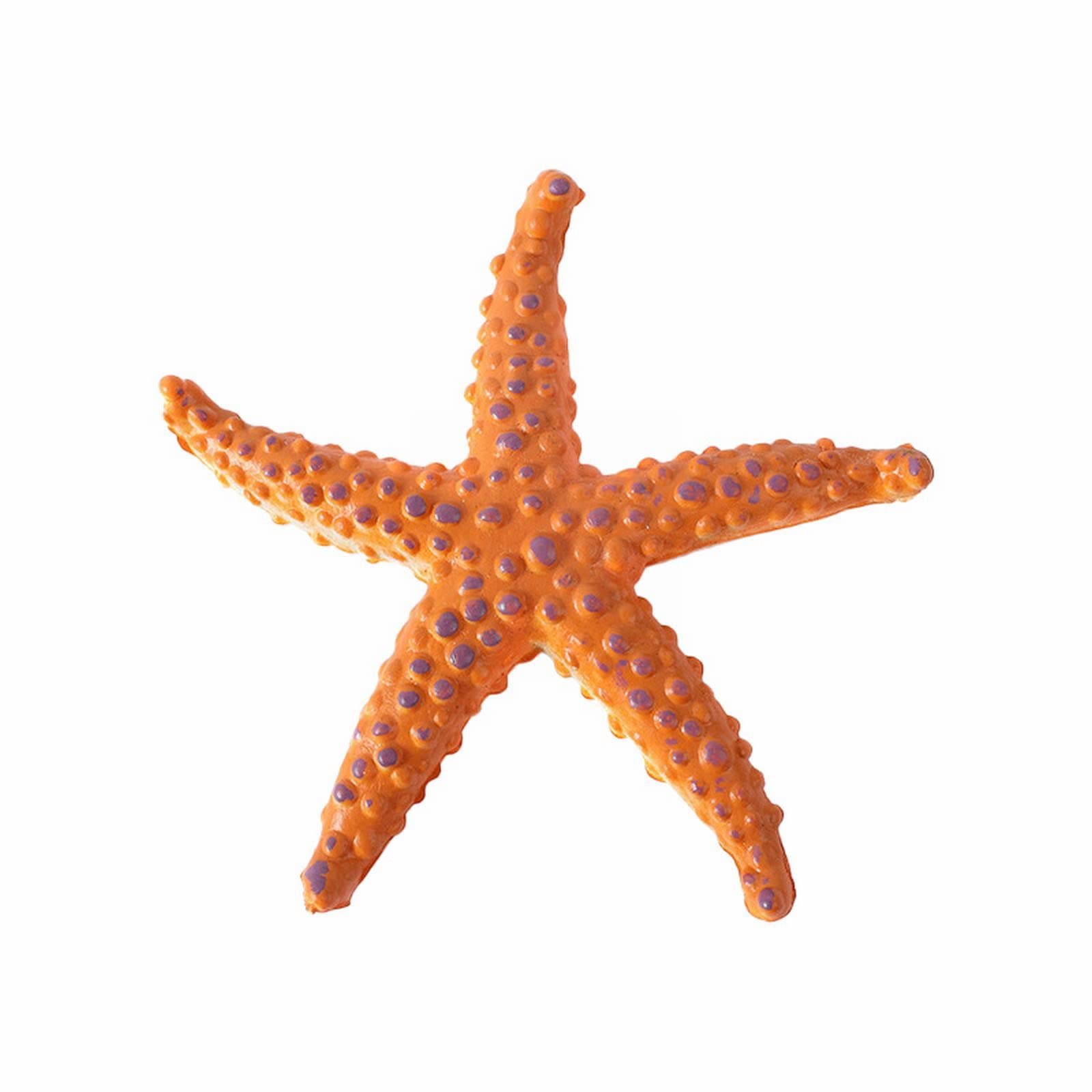 Colorful Sea Star Diving Toys Set with Gold Mesh Bag - Underwater Swimming & Pool Games for Kids 9 Months+, Perfect for Summer Beach & Pool Fun