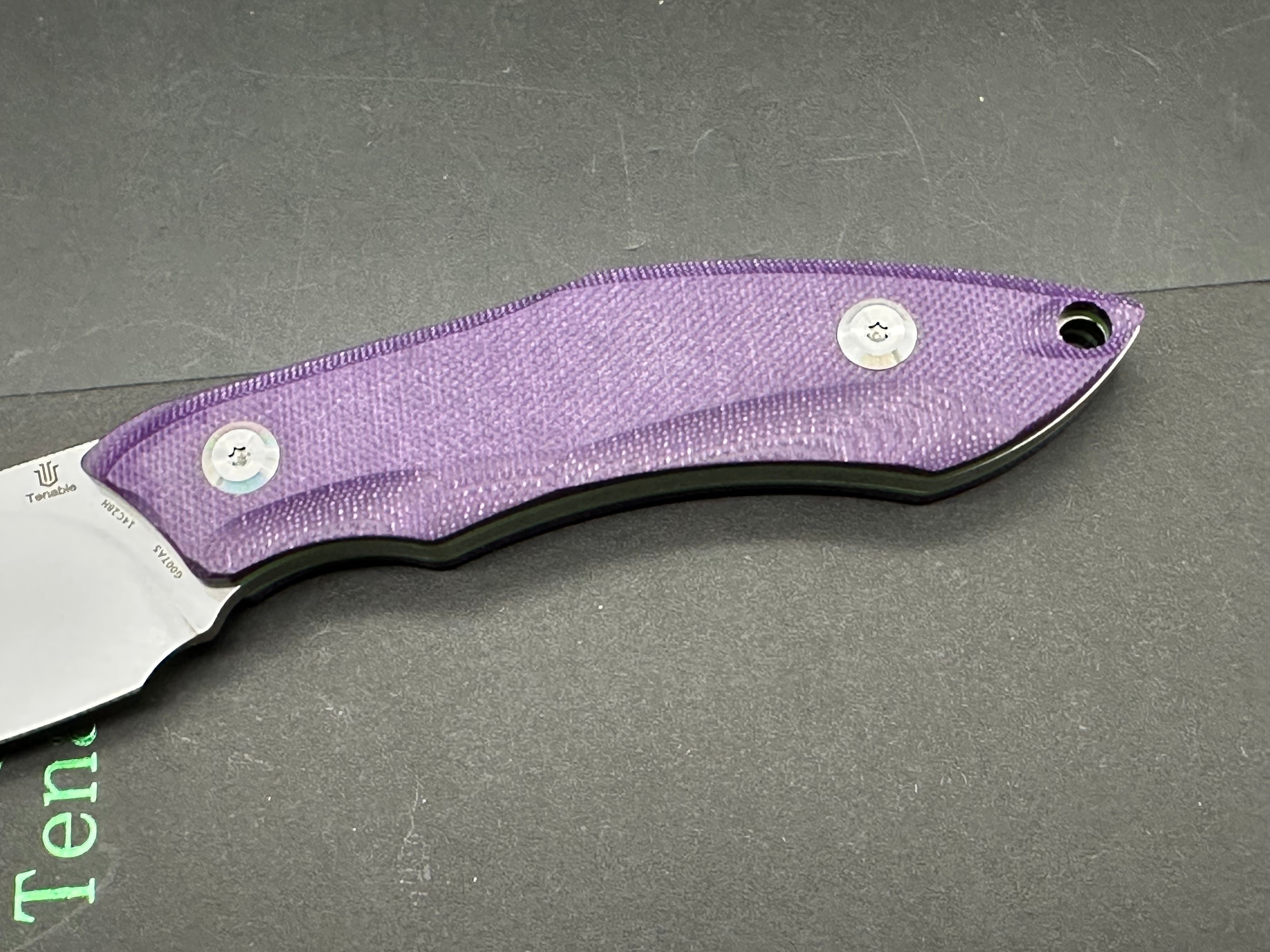TENABLE LUCCIO Fixed Blade Knife - Purple G10 Handle, 14C28N Plain Stonewash Blade - Perfect for Camping, Hunting & Outdoor Survival