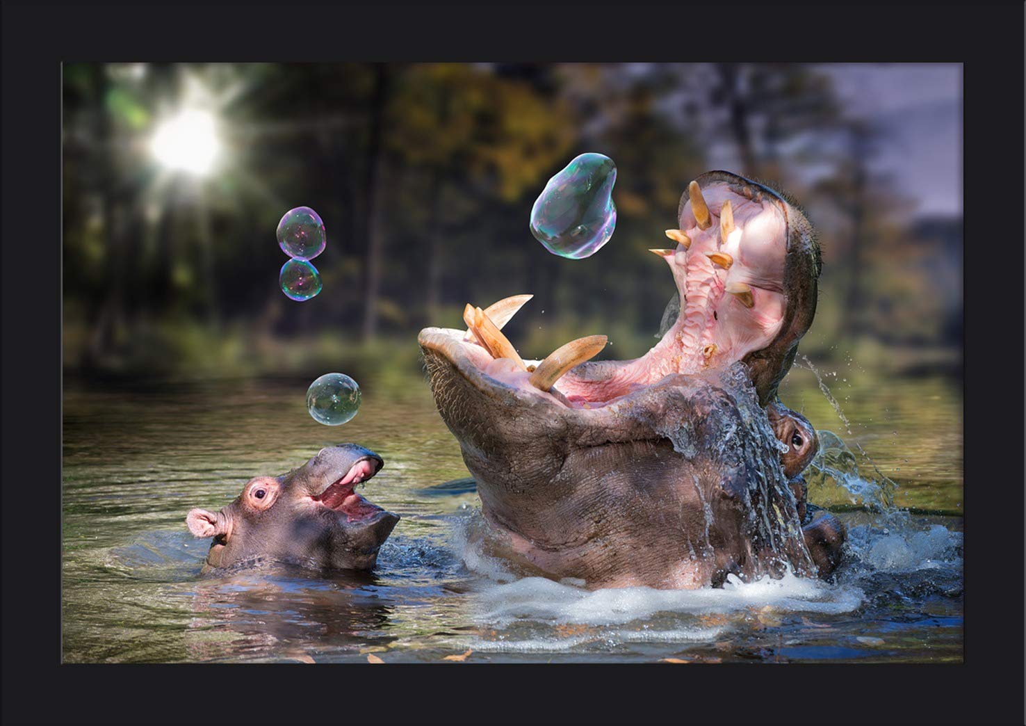Hippos and Bubbles - 12x18 Inch Giclee Fine Art Print with Eco-Friendly Recycled Wood Frame in Black - Perfect for Nursery, Kids Room, or Playroom Decor