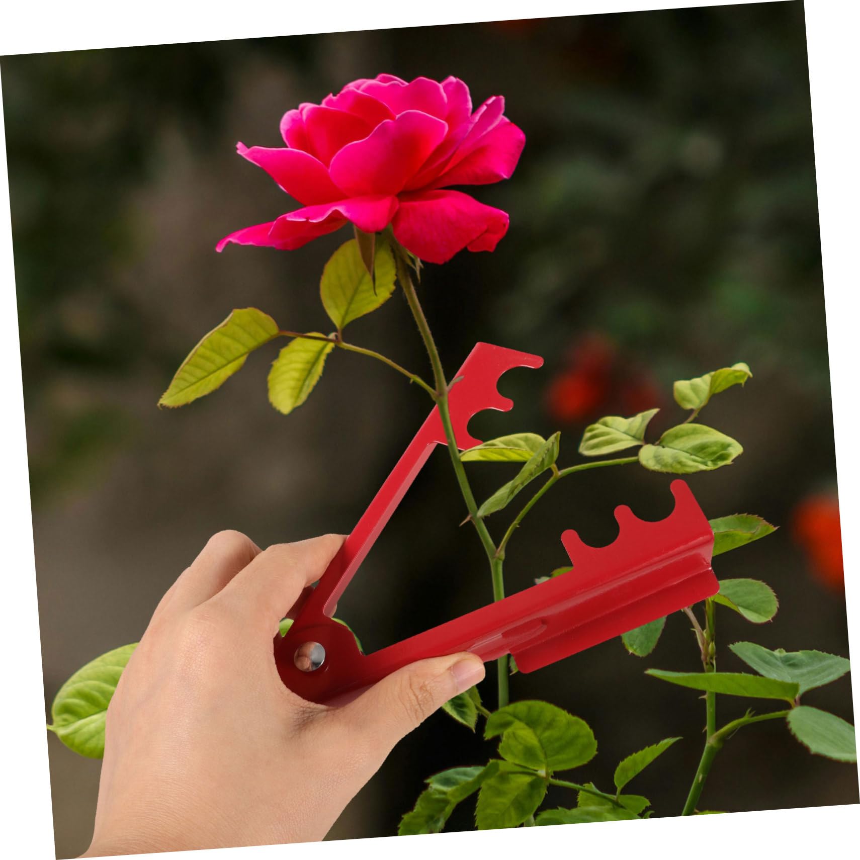 3PCS Rose Gardening Shears Set - Floral Thorn Stripper, Flower Stem Cleaner & Leaf Remover Pruning Shears for Gardening, Bonsai, Floral Arrangement | Perfect for Rose Care, Garden Maintenance & DIY Bouquets (Red)