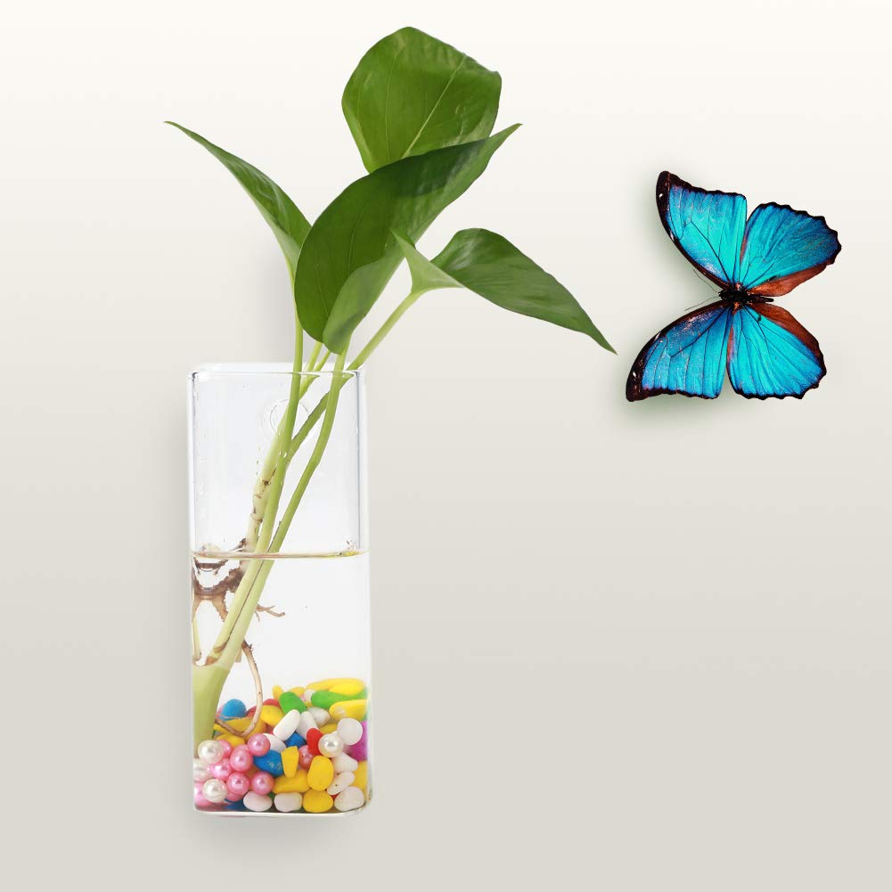 Elegant Glass Hanging Plant Pot - Hydroponic Wall Vase for Indoor Plants, Home Decor & Vertical Gardening - Perfect for Herbs, Succulents & Air Plants in Living Room, Kitchen or Balcony