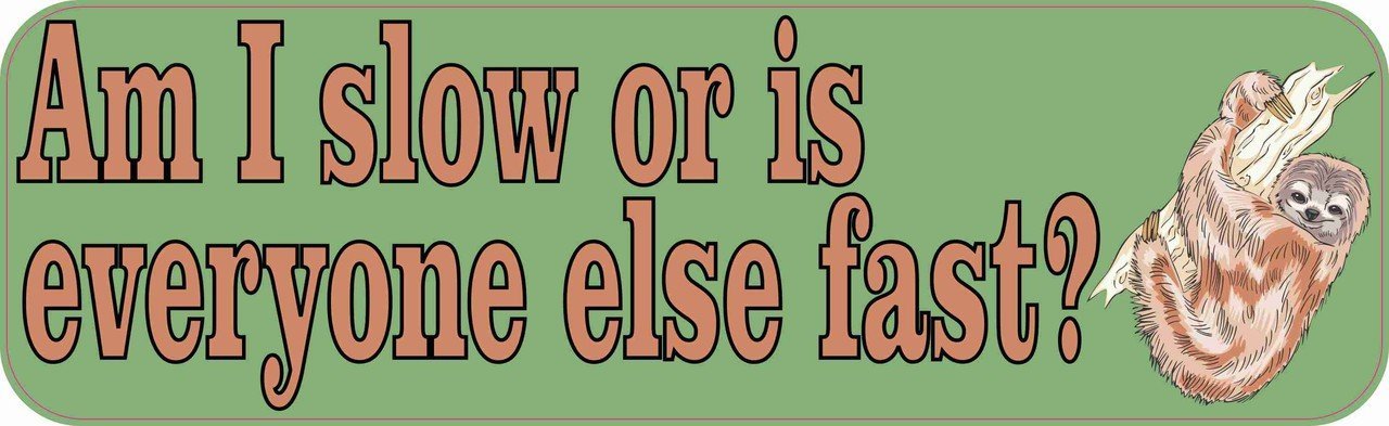 Am I Slow or is Everyone Else Fast? - 10x3 Inch Vinyl Sticker for Laptops, Water Bottles & Notebooks - Funny Sticker for Office, School & Gifts