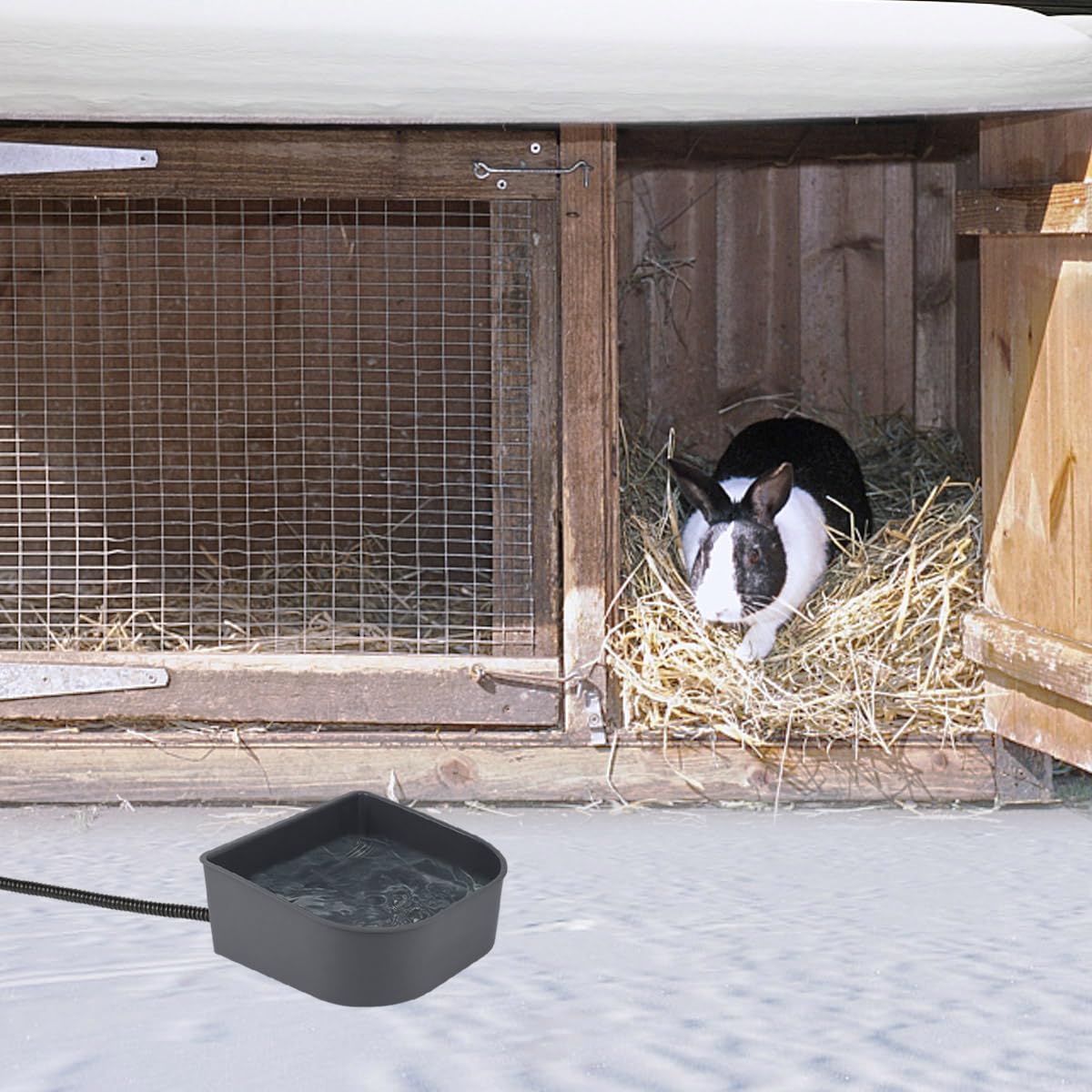 NAMSAN 1L Small Heated Pet Bowl for Cats, Rabbits, Dogs - Outdoor Heated Water Dish for Chickens & Birds - Indoor Thermal Dog Crate Bowl & Hanging Kennel Cage Feeder with Removable Design | Perfect for Winter Pet Care, Backyard Poultry & Travel Use