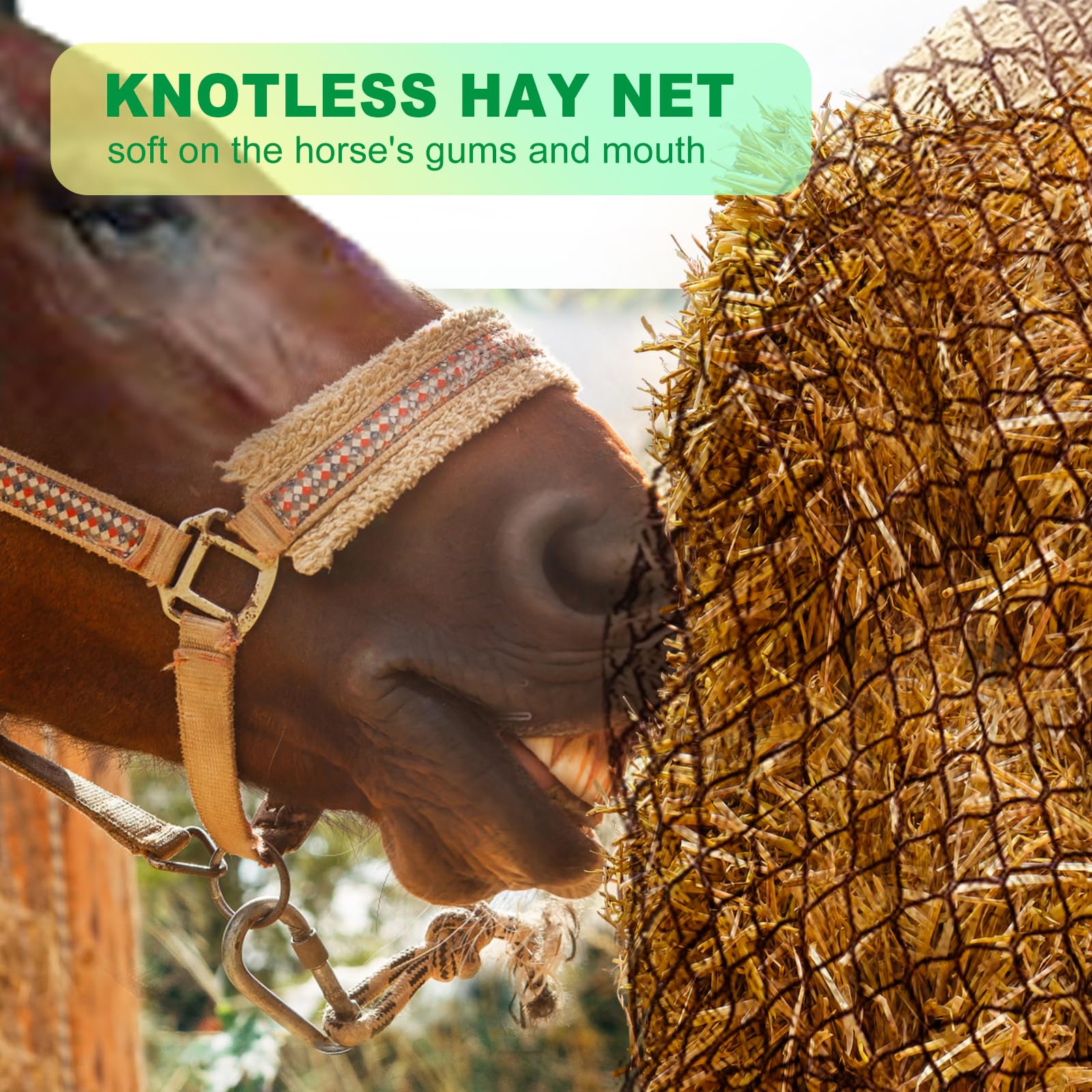 Tongmo 6x6 ft Round Bale Hay Net for Horses, Cattle & Livestock - 2 Inch Hole Slow Feeder Hay Net - Perfect for Pasture, Barn & Stable Feeding