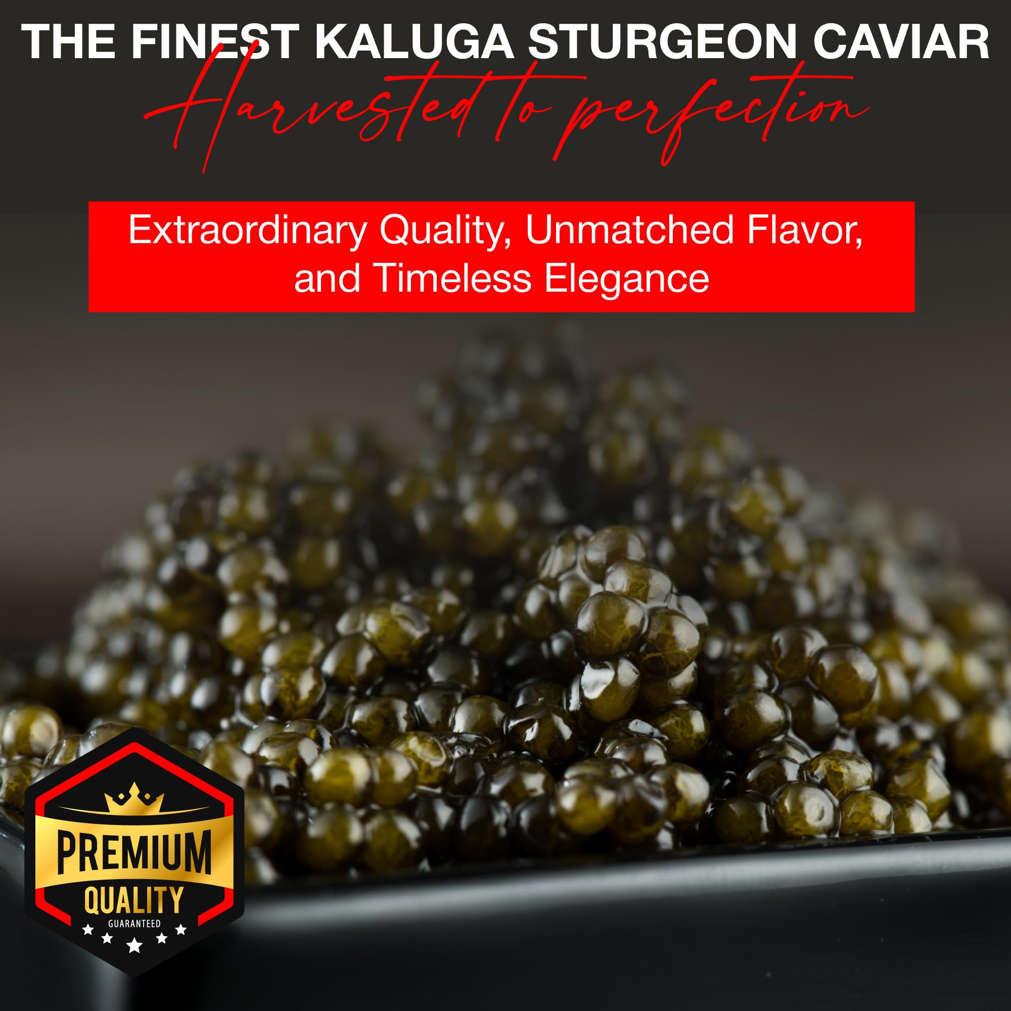 Premium OLMA Kaluga Sturgeon Black Caviar - Large Pearly Grains, Smooth Flavor, Superior Grade (4.4 oz/125g) - Fast Overnight Shipping - Perfect for Gourmet Dining, Special Occasions & Luxury Gifts