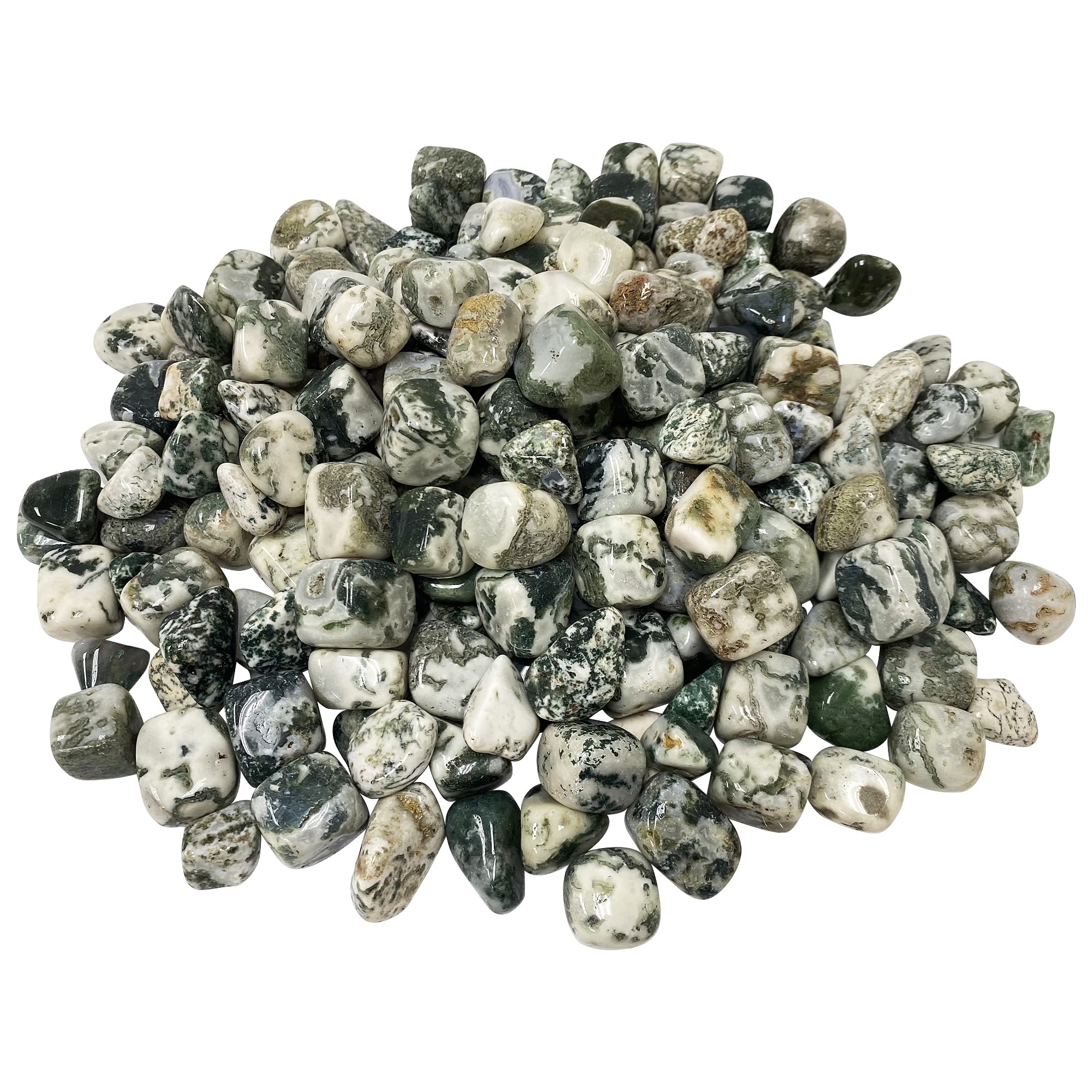 1 Lb Natural Tree Agate Tumbled Stones - Bulk Healing Crystals for Meditation & Decor