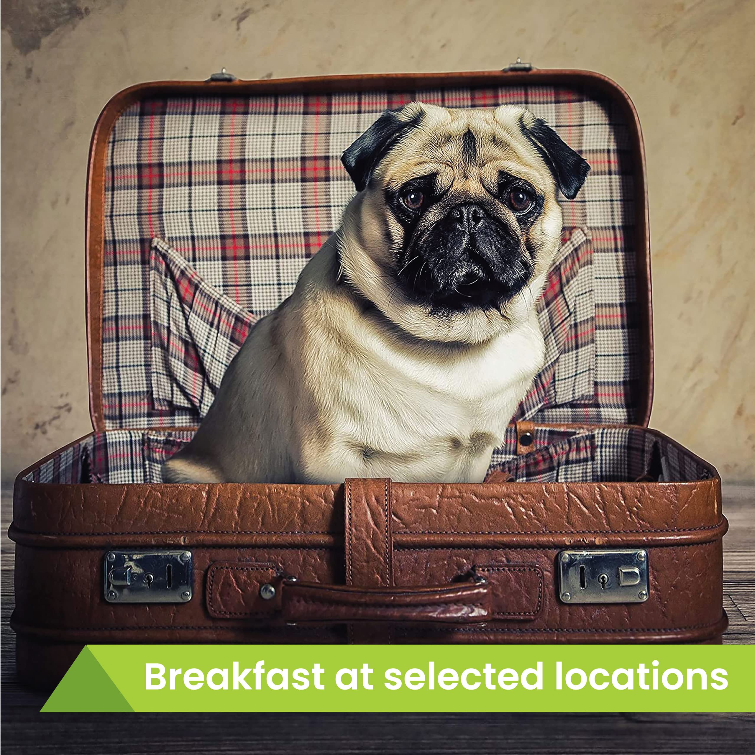 Dog Friendly Hotel Stay Gift Voucher - Pet-Friendly Getaway Experience at 70+ UK Locations | Perfect for Couples Retreats, Anniversary Gifts, Retirement Presents & Special Occasions