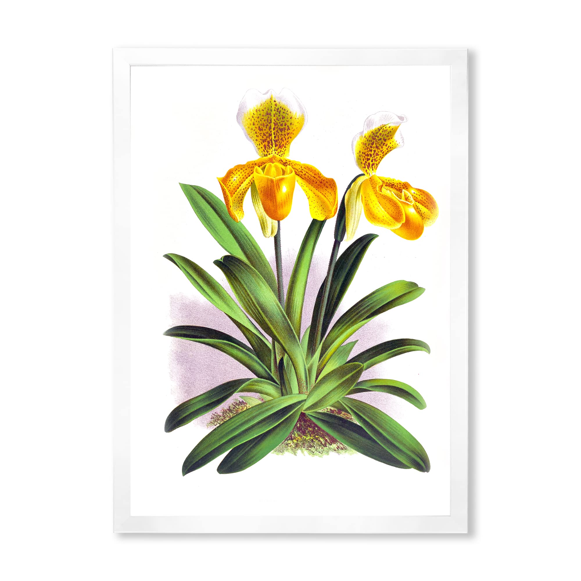 Vintage Yellow Orchid Traditional Framed Wall Art - Elegant Home Decor for Living Room, Bedroom & Office | Ready to Hang Floral Painting