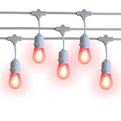 Shatterproof LED Bulbs 2-Watt - Fuchsia - White Cord