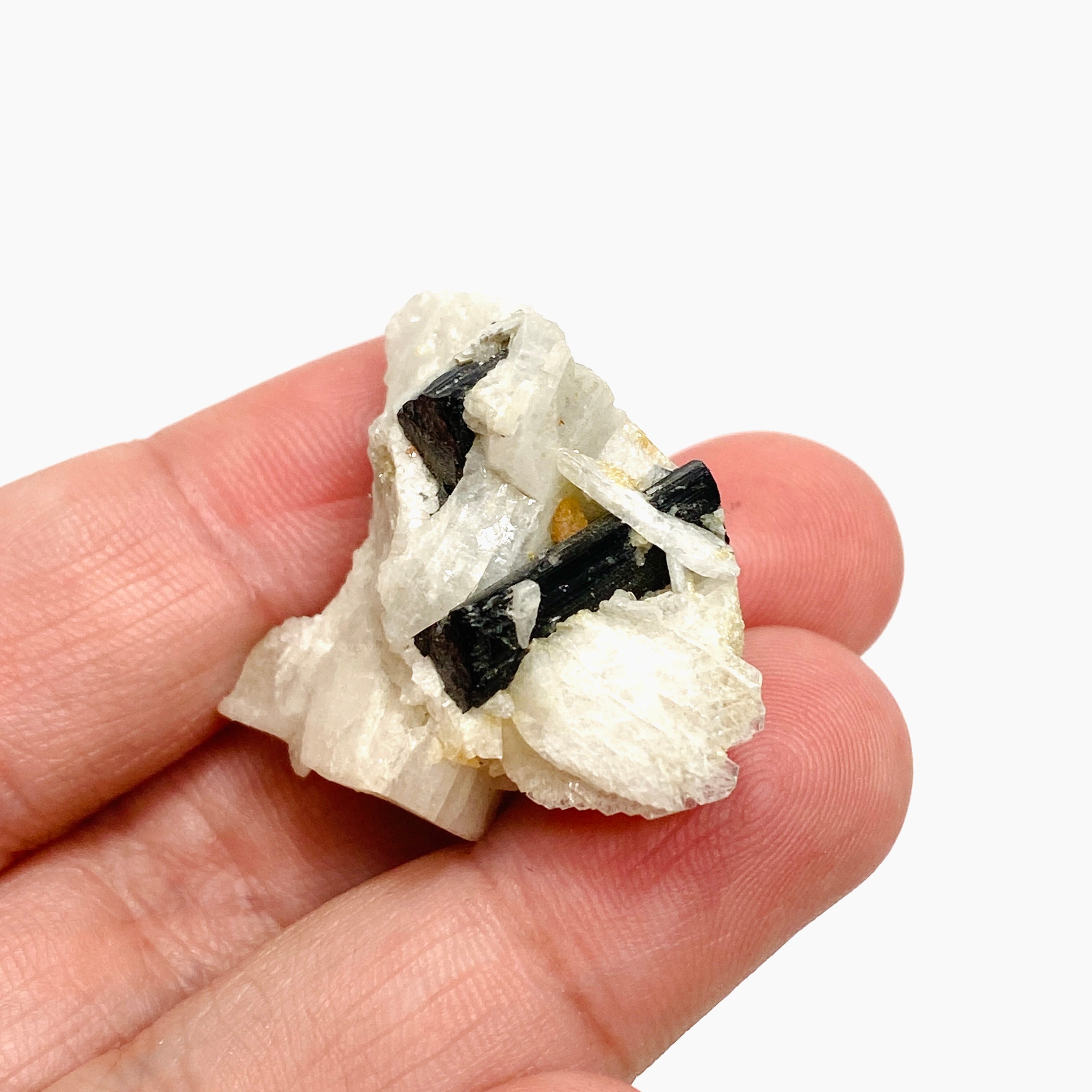 Natural Black Tourmaline Crystal Specimen - BTS 15 | Healing Stone for Protection, Grounding & Negative Energy Removal | Perfect for Meditation, Home Decor & Mineral Collection