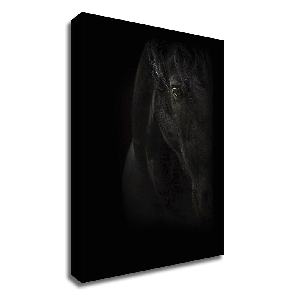 Black Pearl Canvas Wall Art by PhotoINC Studio - Premium Framed Print Ready to Hang - Perfect for Living Room, Bedroom & Office Decor