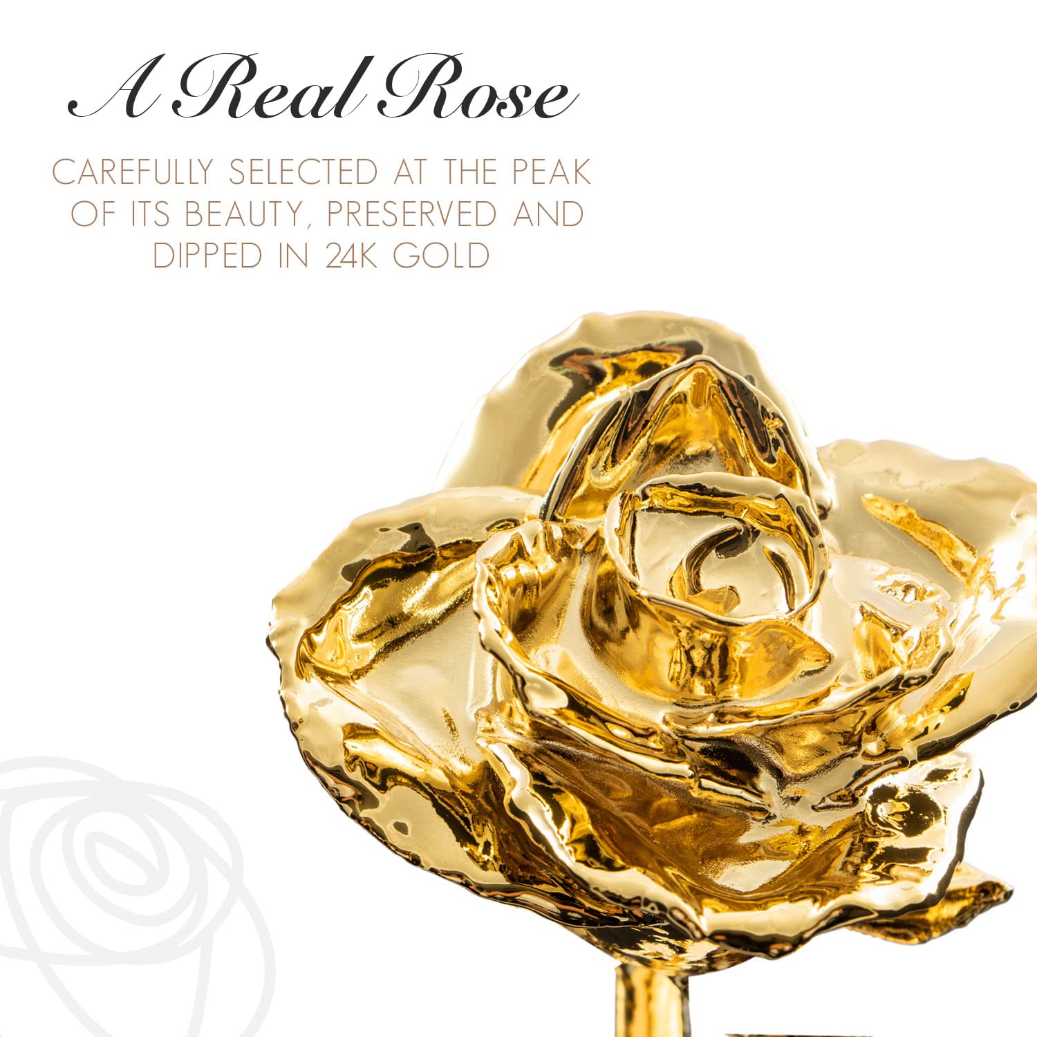 24K Gold Dipped Forever Rose in Heart Shaped Acrylic Vase - Eternal Romantic Gift for Women & Men | Anniversary, Valentine's Day, Wedding Gift Idea | Luxury Home Decor & Table Centerpiece