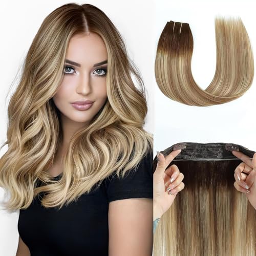 Chocolate Brown to Light Brown and Bleach Blonde T4/P10/613