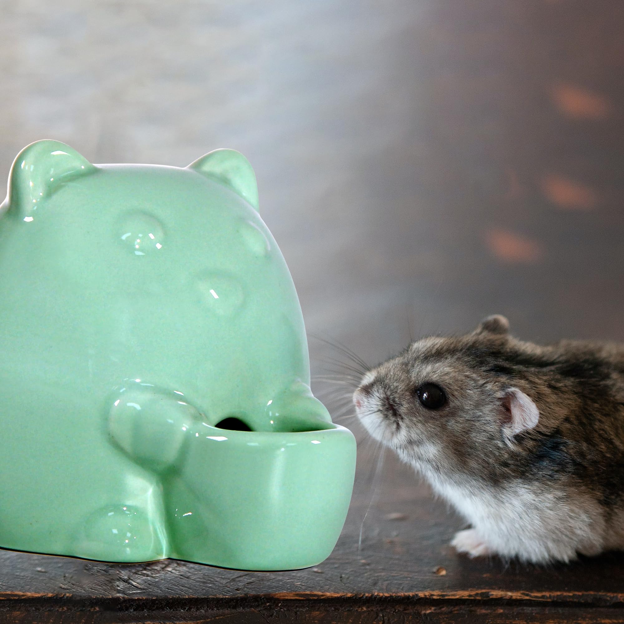 No-Drip Ceramic Hamster Water Bottle for Guinea Pigs, Rabbits, Hedgehogs & Chinchillas - Small Animal Water Dispenser with Leak-Proof Design (Cyan) - Perfect for Cages, Habitats & Travel Carriers