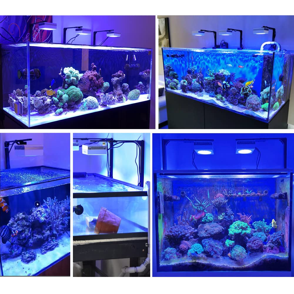 PopBloom Aquarium LED Reef Light - Dimmable Full Spectrum Marine LED Lighting for Saltwater Coral Fish Tanks with Universal Arm Mount Kit | Perfect for Reef Aquariums, Coral Growth & Fish Tank Decoration