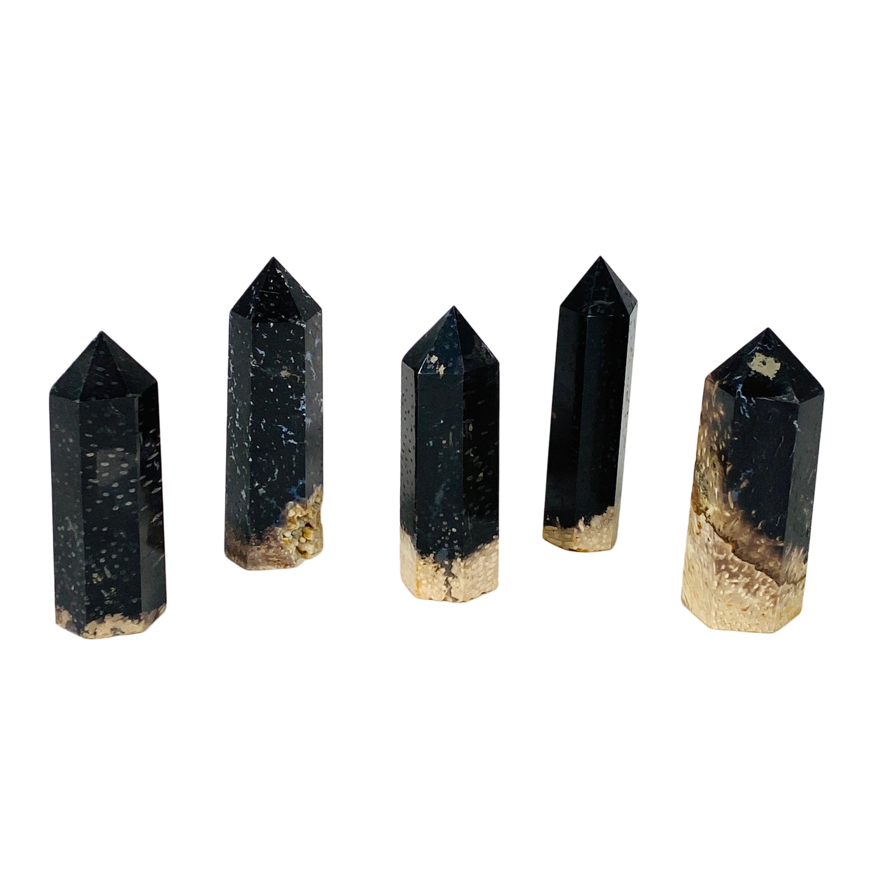 Petrified Palm Root Generator RTP 02 - Natural Fossilized Wood Power Source for Home Decor & Science Projects