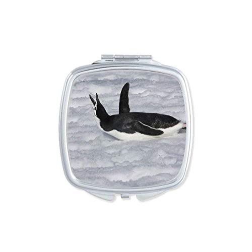 DIYthinker Water Black Antarctic Penguin Picture Mirror - Portable Compact Pocket Makeup Mirror with Double Sided Glass - Perfect for Travel, Home, and Office Use