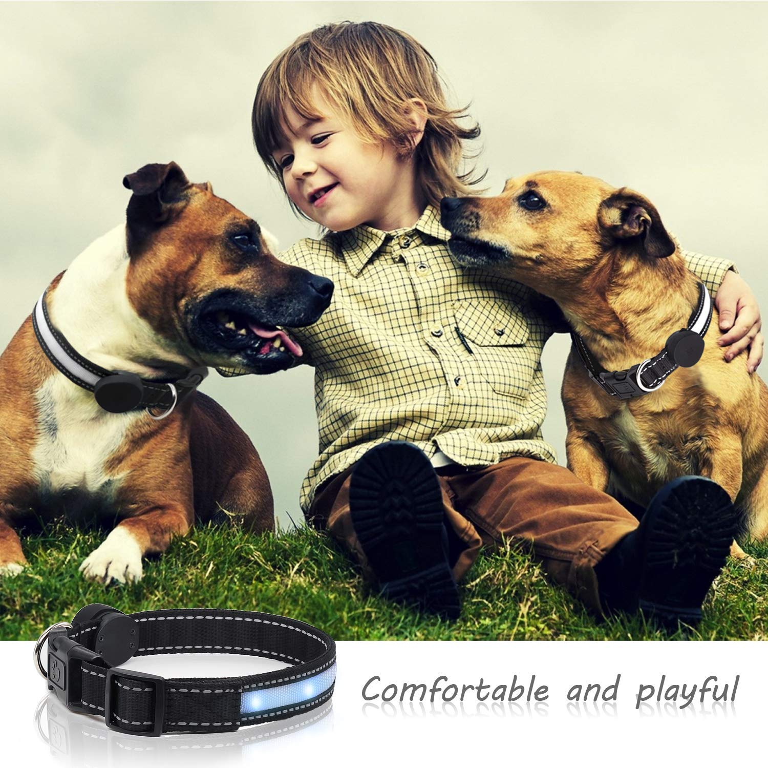 USB Rechargeable LED Dog Collar with 7 Color Changing Modes - Glow in The Dark Adjustable Safety Collar for Small/Medium/Large/XL Dogs - Perfect for Night Walks, Jogging & Outdoor Adventures