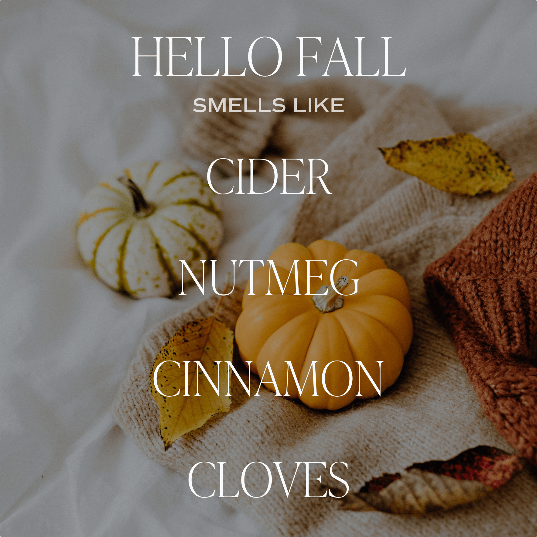 Hello Fall White Jar Candle - 12oz Scented Soy Wax Candle for Home Decor, Gifts & Cozy Autumn Ambiance | Perfect for Thanksgiving, Halloween & Fall Season Decorations