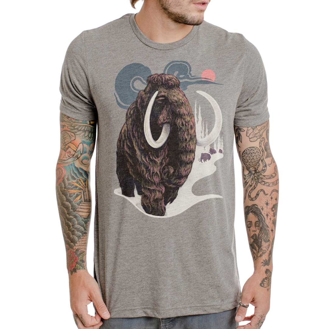 Curbside Mammoth Slim Fit Tri-Blend T-Shirt - Heather Grey | Soft & Comfortable for Casual Wear, Gym & Everyday Use