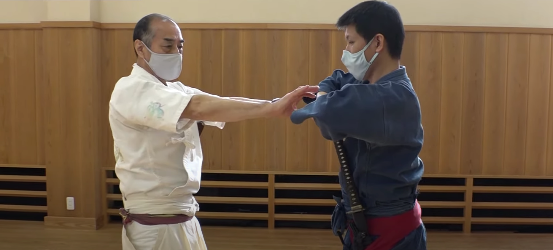 Tetsuzan Kuroda Bujutsu Training DVD - Authentic Japanese Martial Arts Instructional Video for Self-Defense & Combat Skills | Perfect for Home Practice, Dojo Training & Martial Arts Enthusiasts