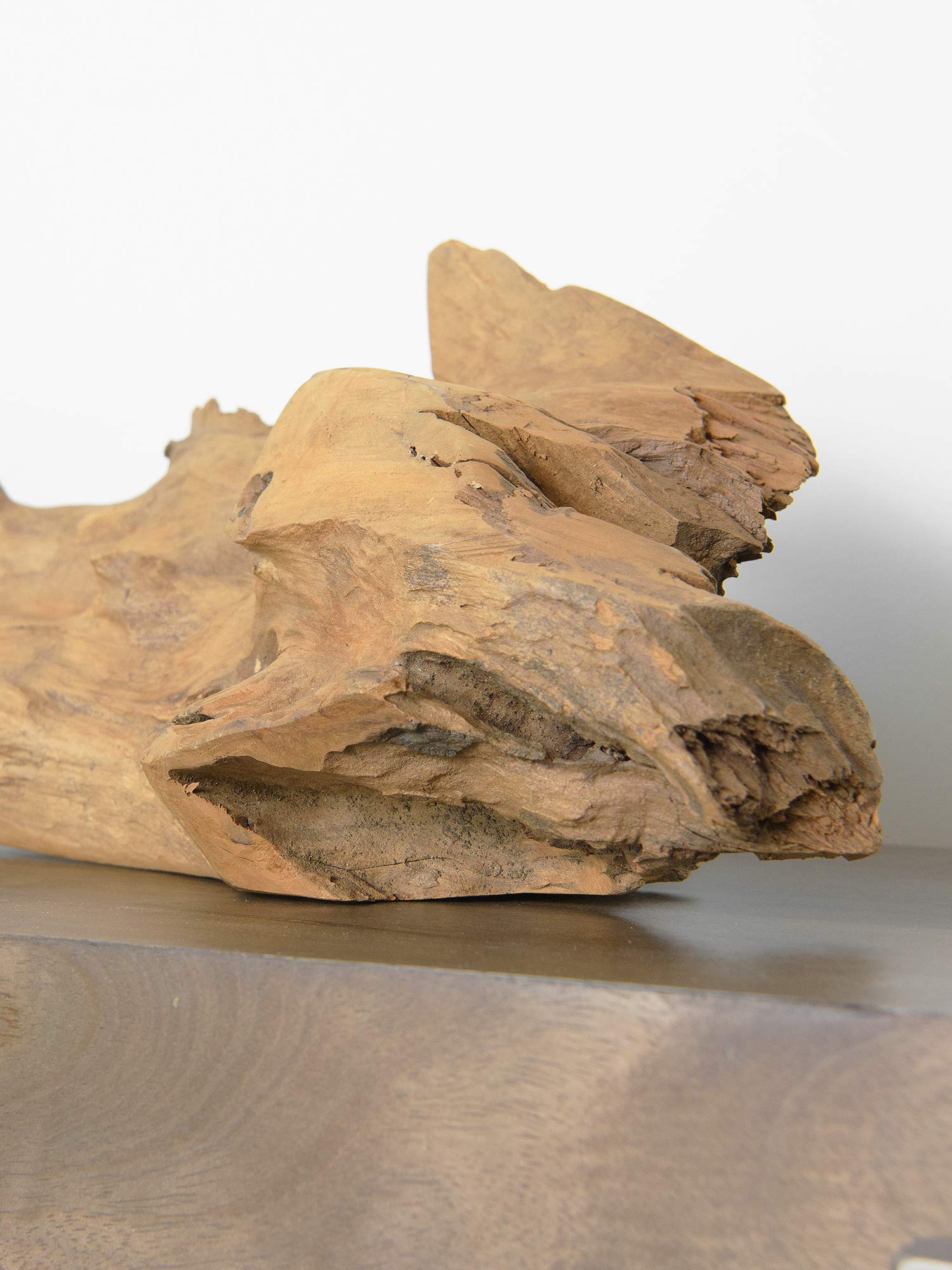 Premium Teak Root Sculpture for Home Decor - Natural Bleached Finish | Perfect for Living Room, Office & Zen Spaces