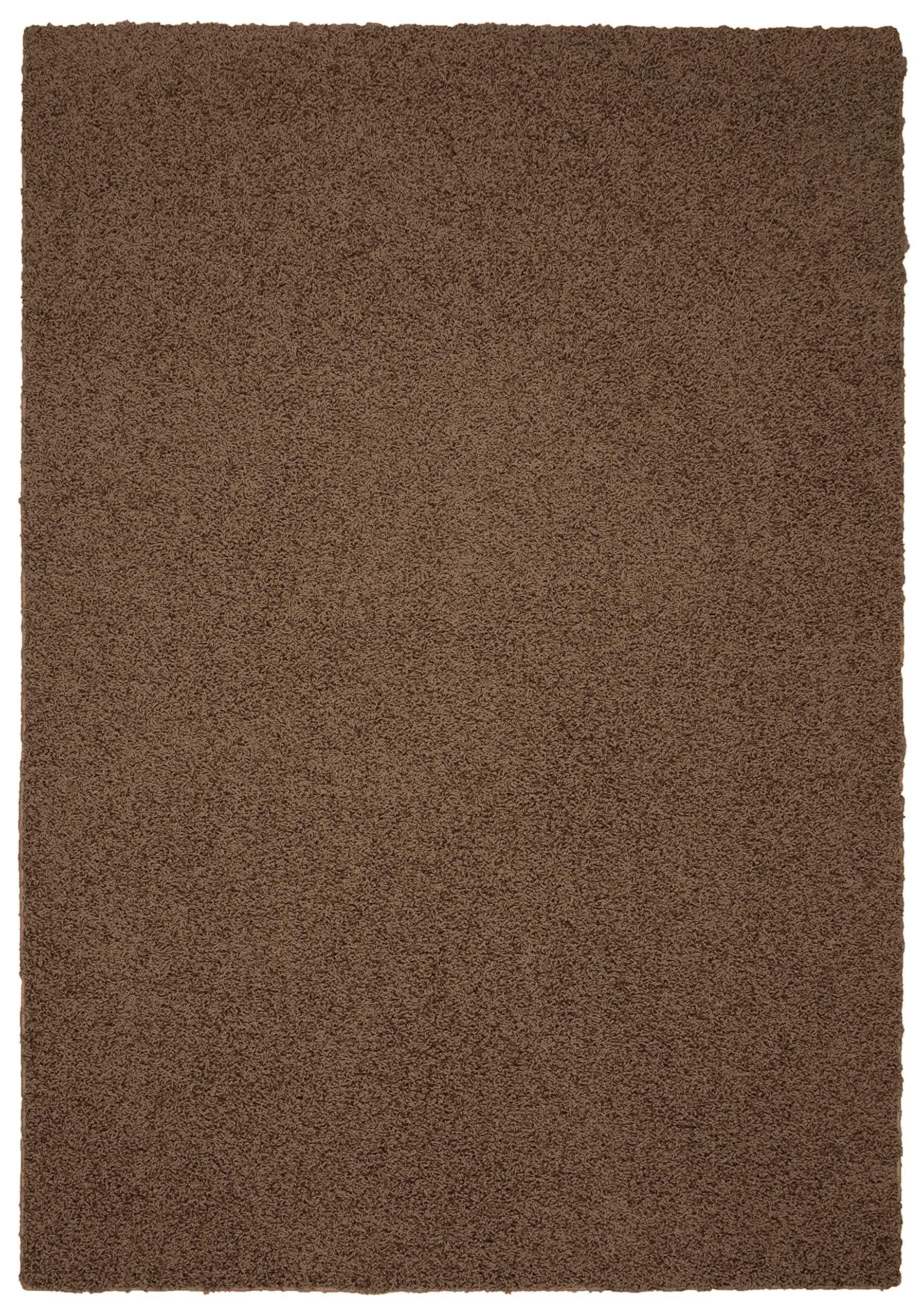 Garland Rug Southpointe Shag Area Rug 5x7 Feet - Soft Plush Putty Beige Shaggy Carpet for Living Room, Bedroom & Nursery | Cozy & Stylish Home Decor