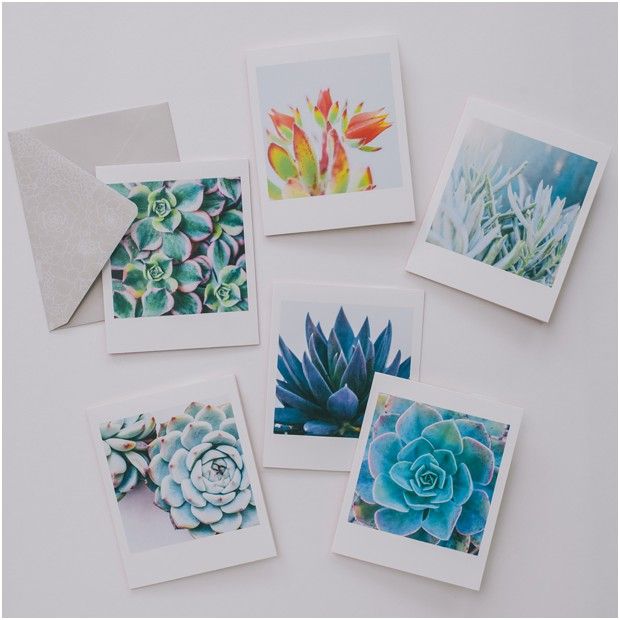 Succulent Garden Notecards Set - Handmade Botanical Greeting Cards with Cute Succulent Designs - Perfect for Thank You Notes, Birthday Cards & Wedding Invitations