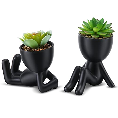 Black Ceramic Pot a Green Succulent