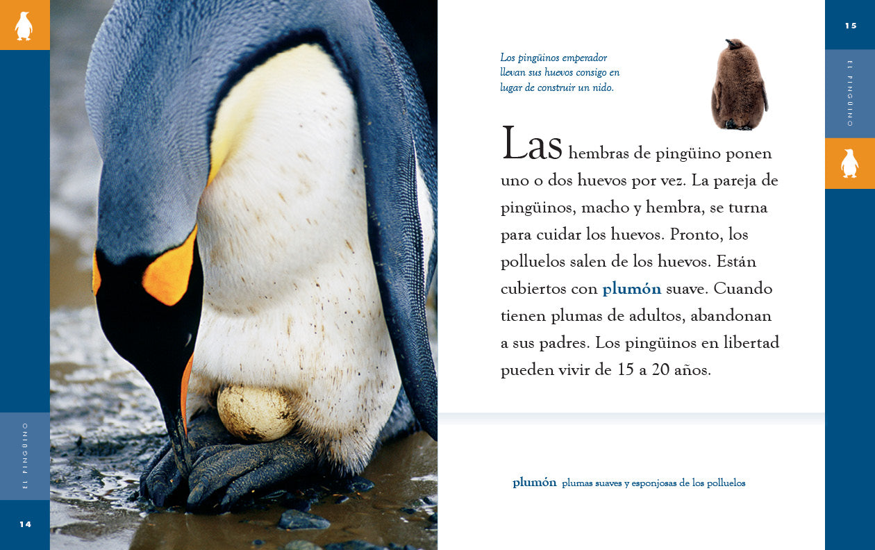 El Pinguino 9781640266780 - Children's Bilingual Spanish-English Book | Perfect for Kids Learning Spanish or English, Classroom & Homeschool Use