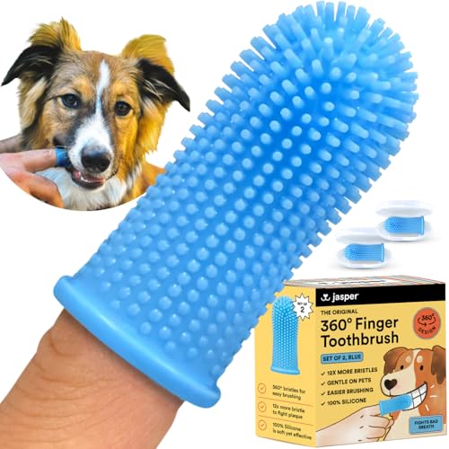 Blue (2-pack)