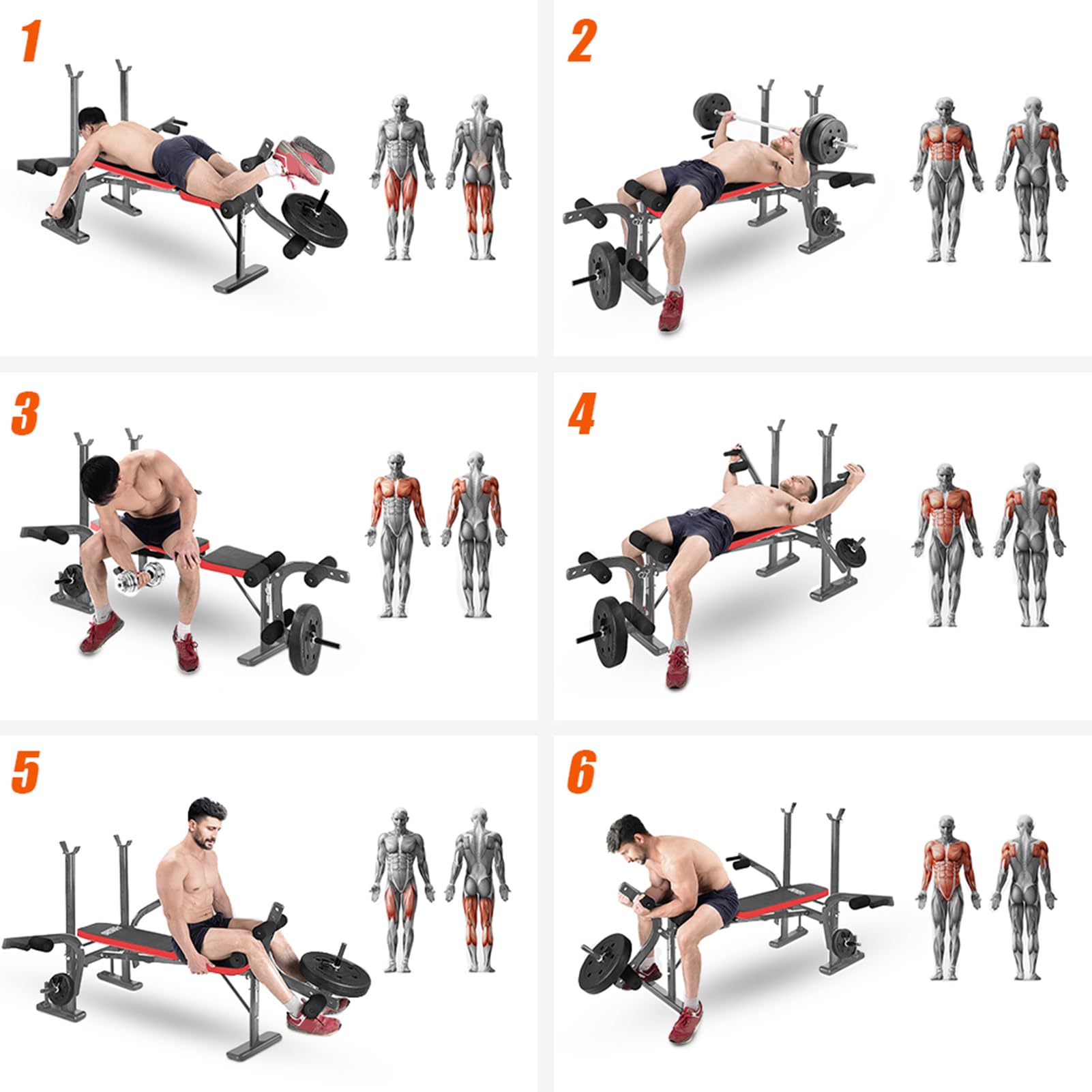 6-in-1 800LBS Adjustable Olympic Weight Bench Set - Foldable Home Gym Equipment with Preacher Curl Pad & Leg Developer - Heavy Duty Workout Bench for Strength Training, Weightlifting & Home Fitness