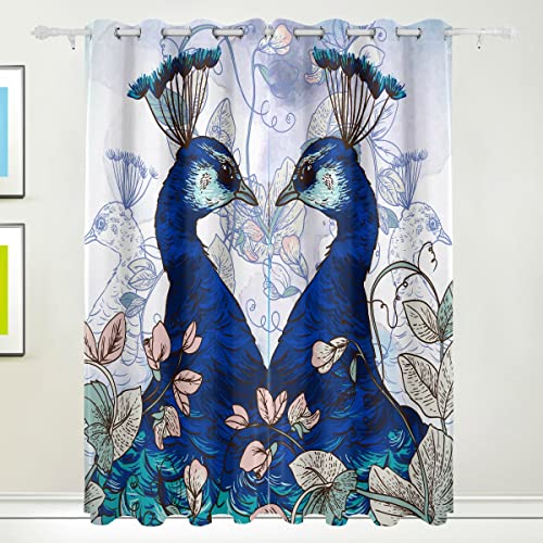Peacock 123