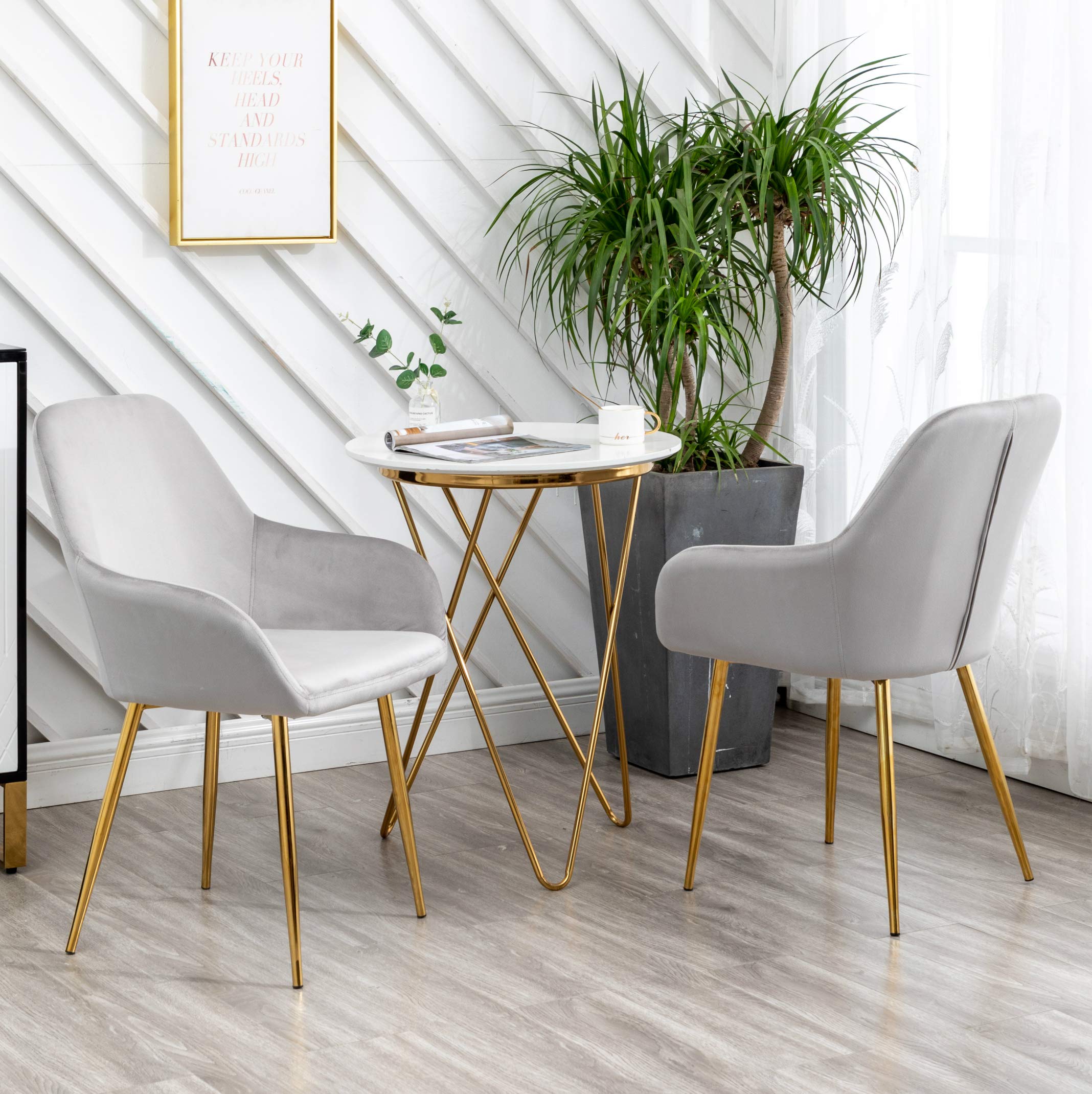 BTEXPERT Modern Golden Leg Dark Mid-Back Accent Chairs - Set of 2 Gray Velvet Upholstered Armchairs with Gold Plated Legs for Living Room, Dining Room & Lounge Areas - Perfect for Home Decor, Relaxation and Entertaining Guests