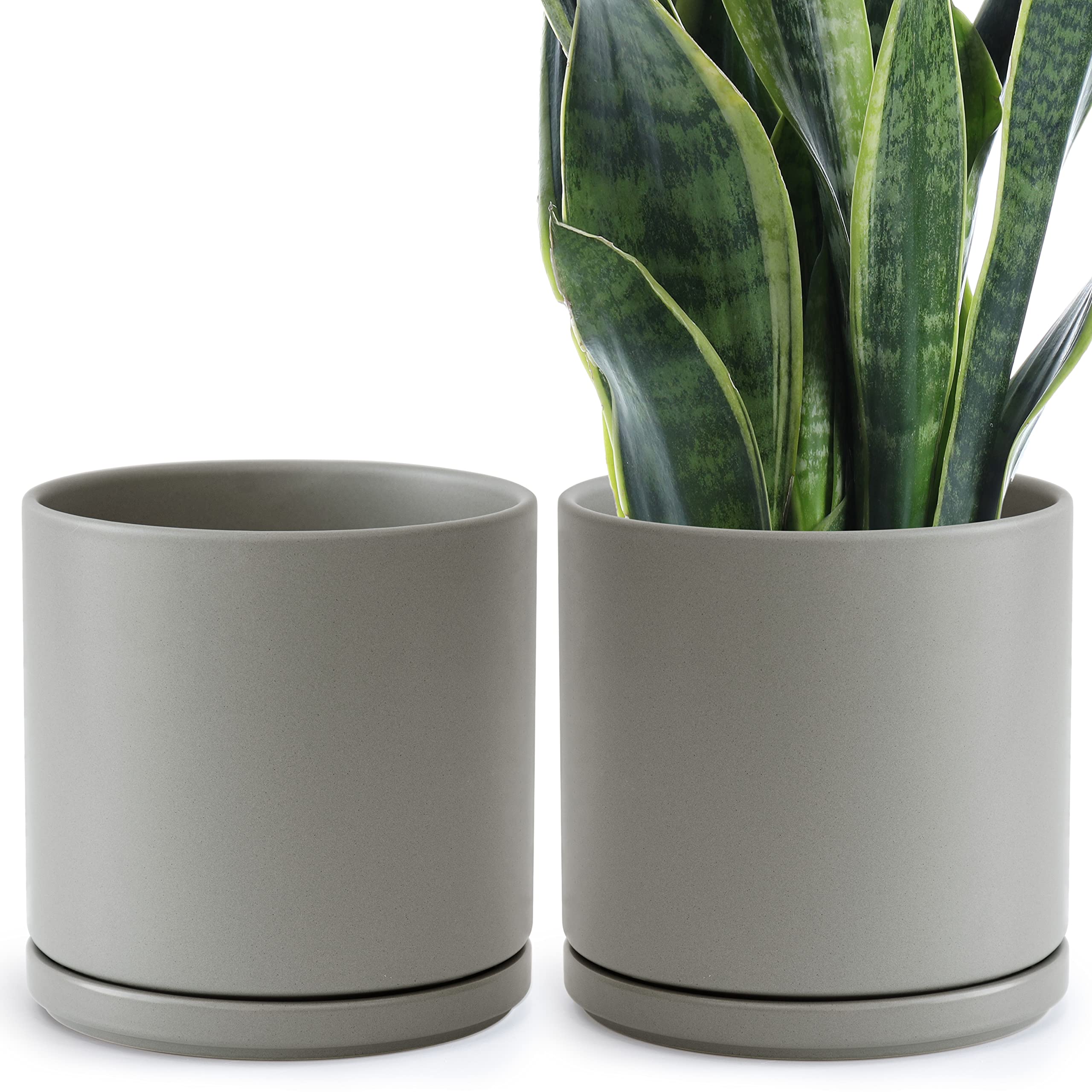 D'vine Dev Set of 2 - 10 Inch Ceramic Plant Pots with Drainage Hole & Saucer - Speckled Grey Indoor Flower Planters for Home Decor, Office, Living Room, Balcony (94-V-E-3)