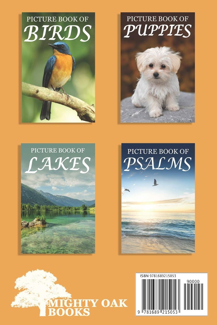 Kitten Picture Book for Seniors with Dementia - Cute Animal Photo Book for Memory Care & Alzheimer's Patients | Perfect for Therapy, Relaxation & Cognitive Stimulation