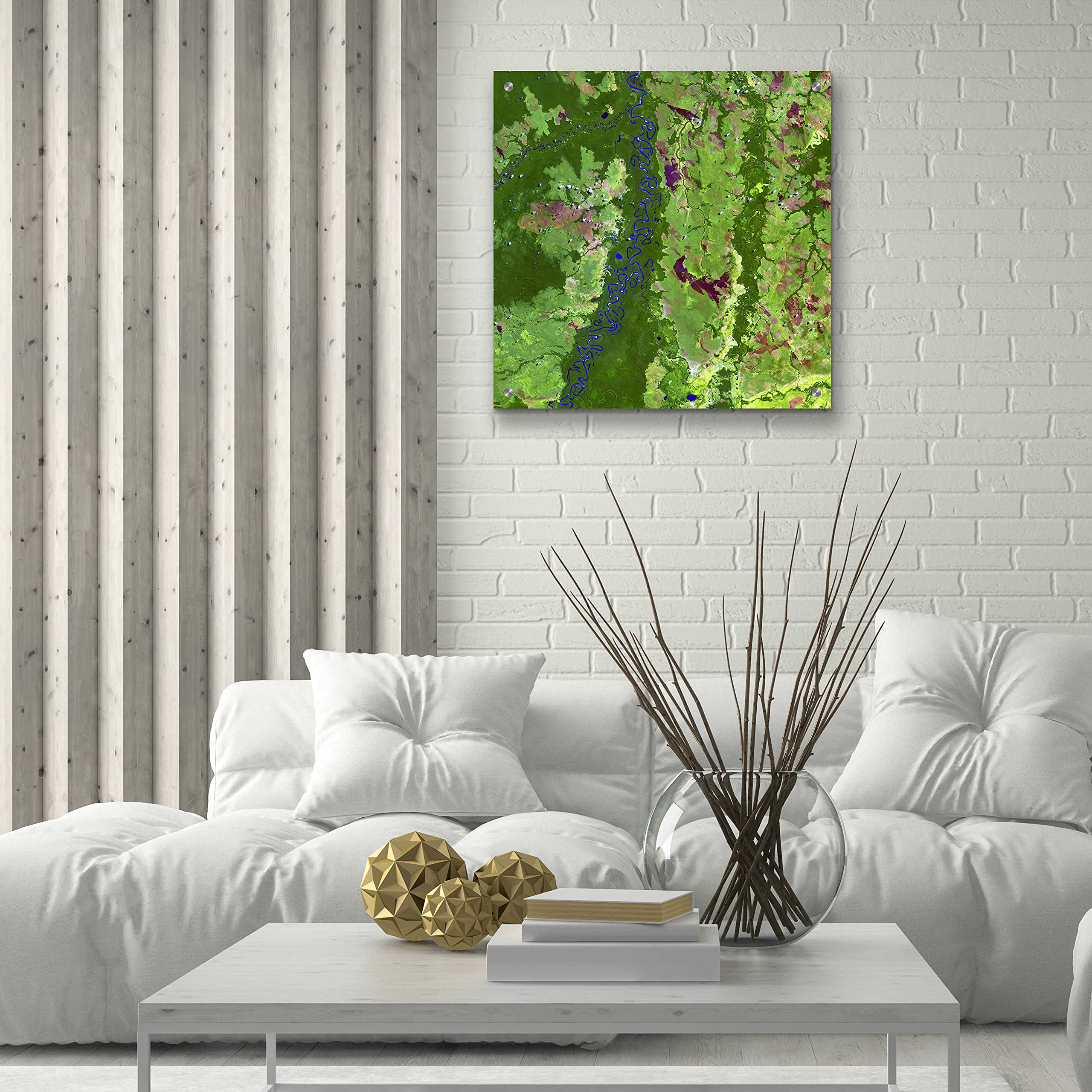 Epic Art 'Earth as Art: Oxbows in Bolivia' - 24x24 Inch Acrylic Glass Wall Decor - Modern Home & Office Wall Art - Perfect for Living Room, Bedroom or Office Decoration