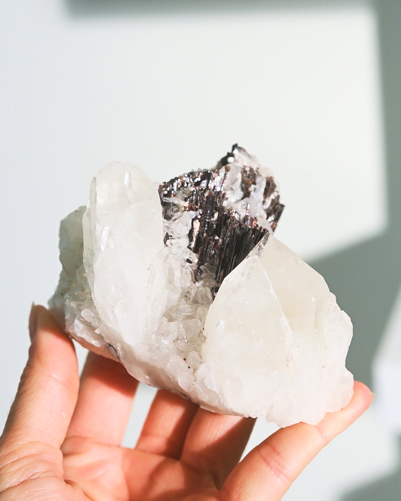 Natural Hubnerite with Quartz Crystal Specimen - 3 Inch Mineral Collection for Healing, Meditation & Home Decor