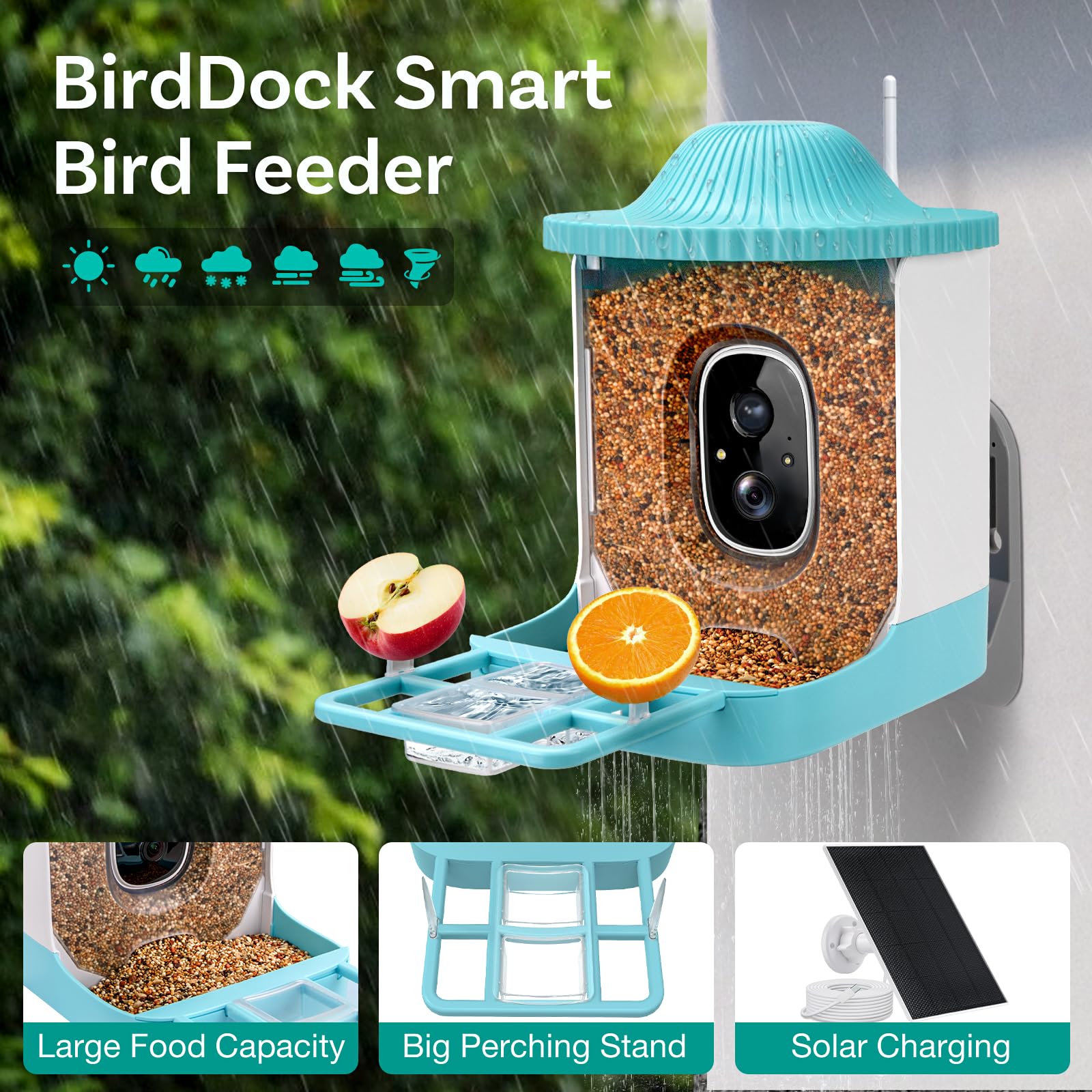 Smart Bird Feeder with Camera - AI Identifies 11,000+ Bird Species, Solar Powered, Motion Detection & Auto Capture Alerts - Perfect for Backyard Bird Watching & Wildlife Monitoring