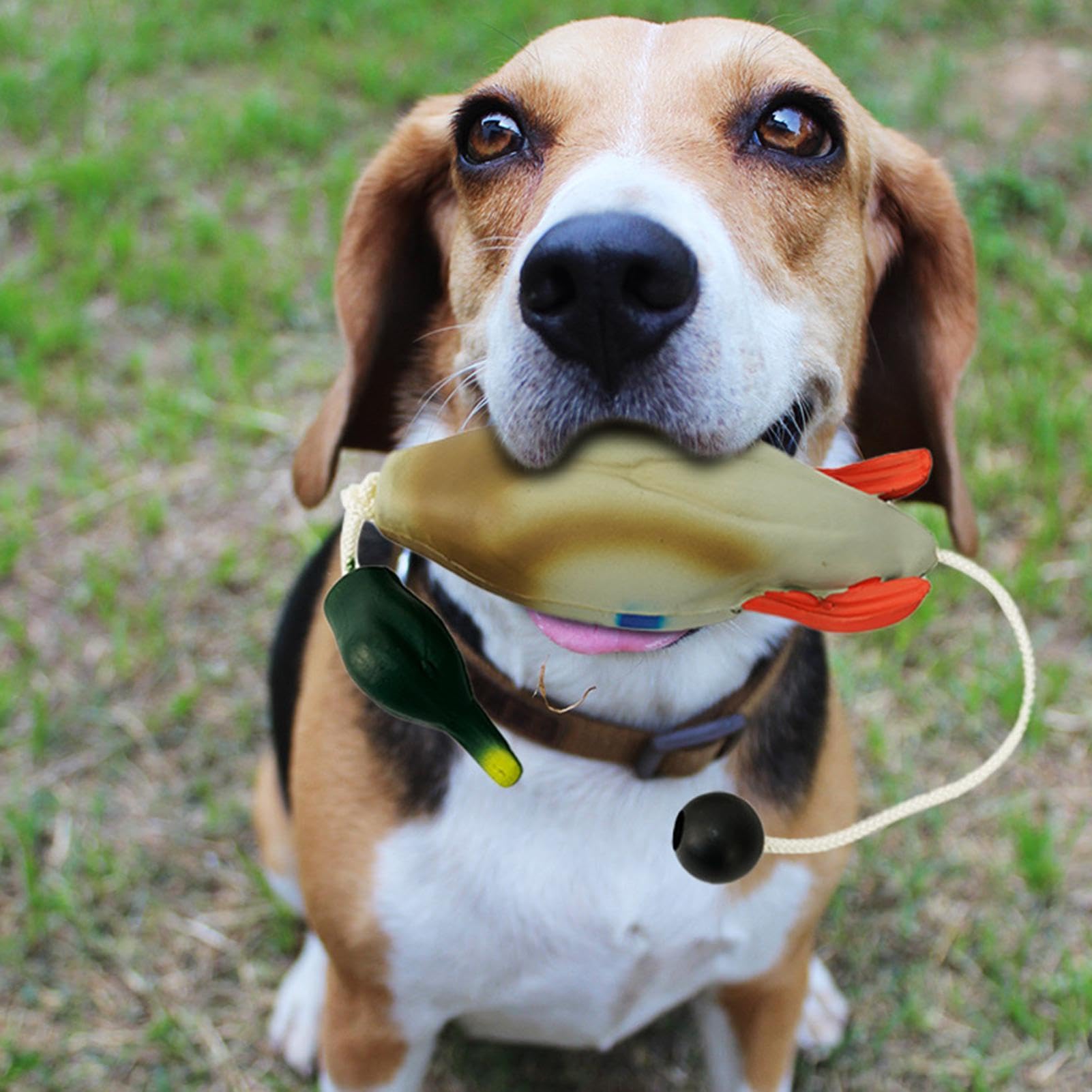 **Durable Duck Dog Toy for Outdoor Training - Realistic Dog Retrieving Toy for Puppies & Adult Dogs - Waterproof & Floatable for Pool, Lake, or Backyard Play**