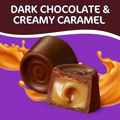 Rolo Dark Chocolate Candy with Caramel Filling - 1.5lb Bulk Pack (~110 Pieces) | Individually Wrapped Halloween Candy, Party Treats & Fall Snacks | Perfect for Trick-or-Treating, Office Treats & Holiday Gift Baskets