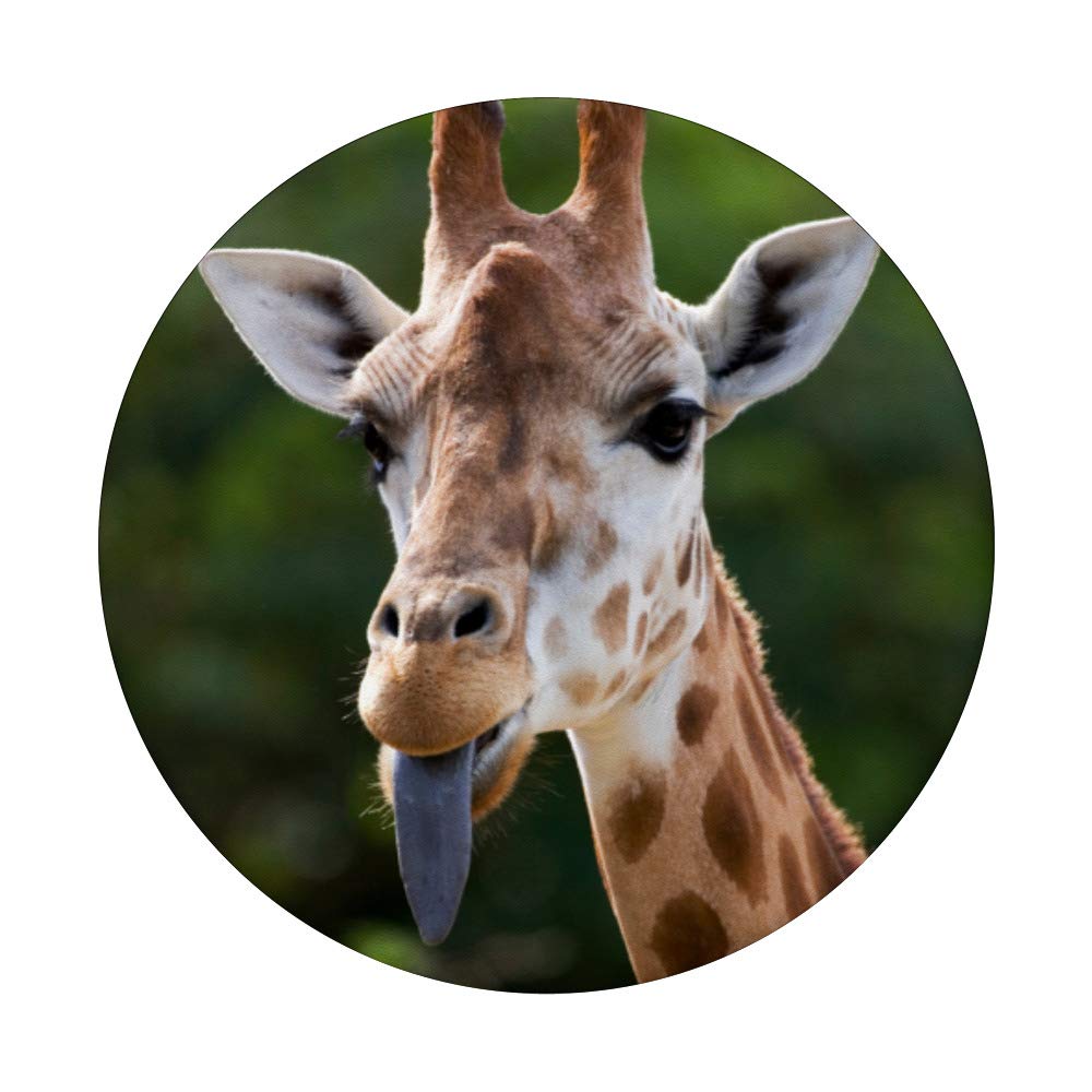 Funny Giraffe PopSockets PopGrip - Swappable Phone & Tablet Stand with Cute Animal Design - Perfect Gift for Giraffe Lovers (Use for Phone Grip, Selfie Stick, or Desk Stand)