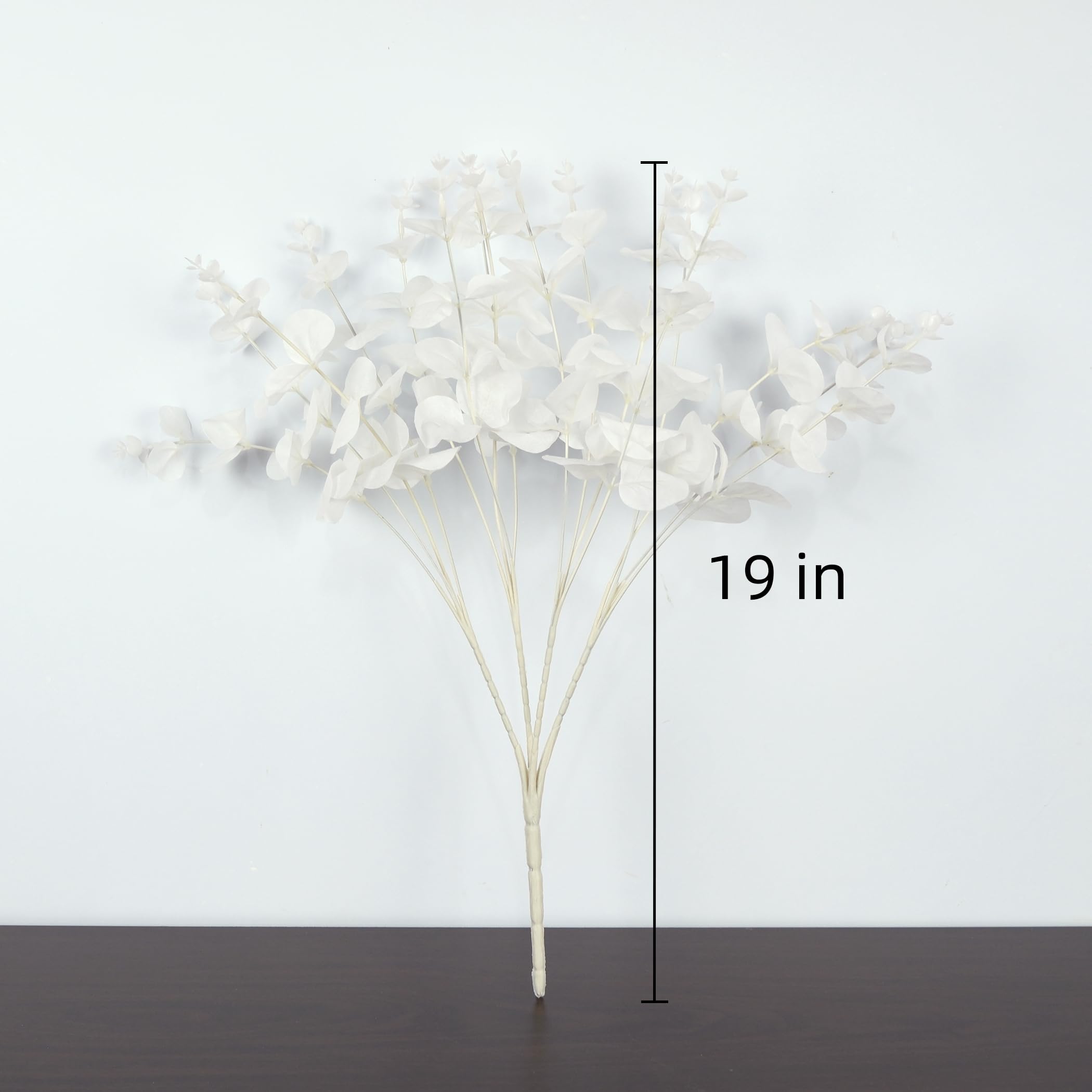 19