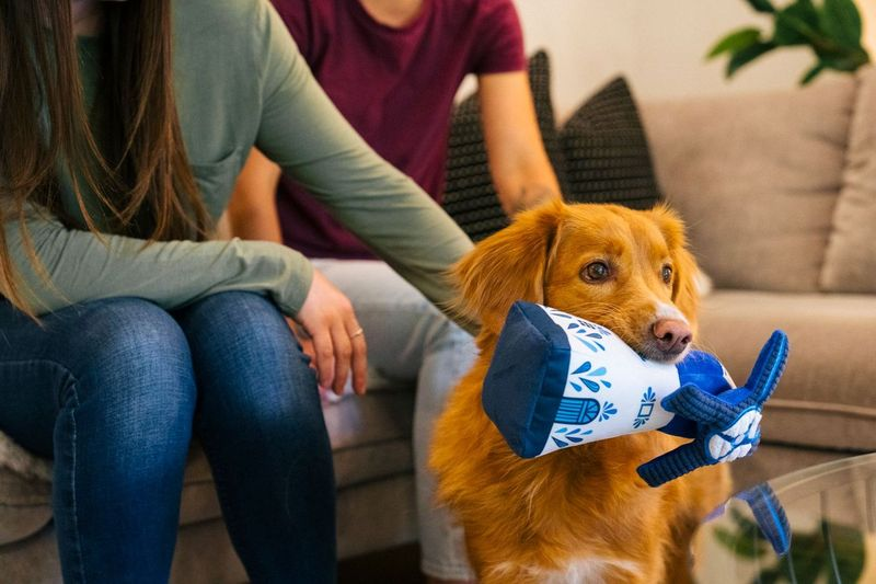 P.L.A.Y. Totally Touristy Squeaky Plush Dog Toy - Dutch Windmill Design for Small & Medium Dogs | Perfect for Playtime, Training & Travel