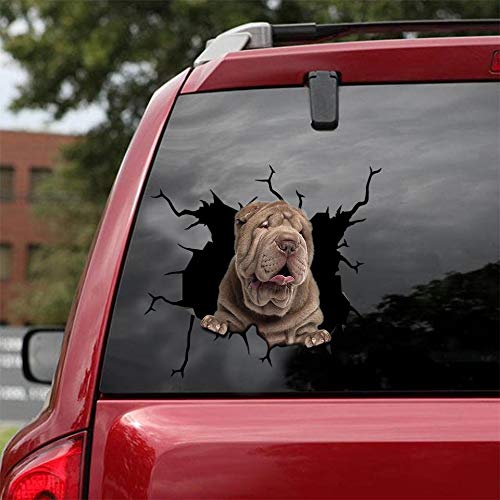 Shar-pei-01