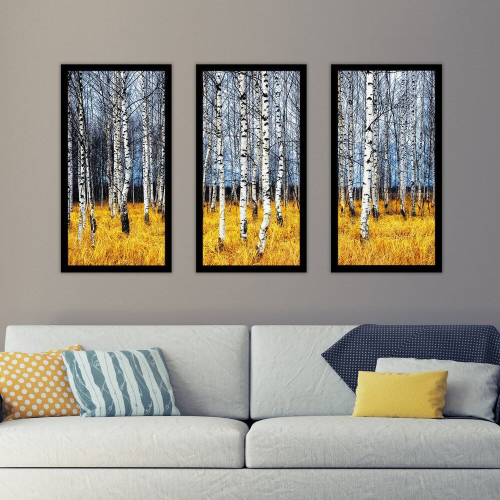 Birch Trees Wall Art Set of 3 - Framed Plexiglass Nature Decor for Living Room, Bedroom & Office - Modern Botanical Prints for Home & Office Decor