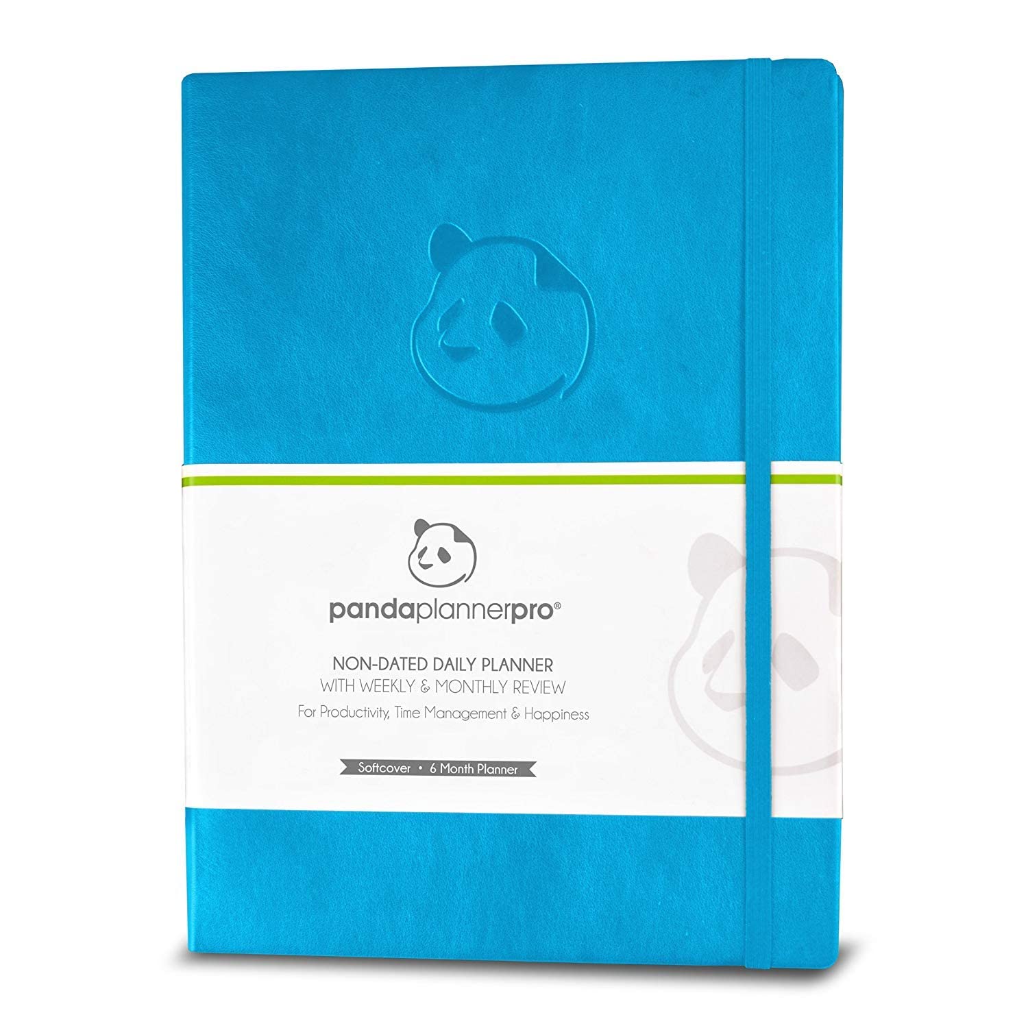 Cyan Pro Undated 6-Month Daily Planner with Spring Sticky Notes - Productivity Planner & Organizer for Work, School & Personal Goals | Panda Planner