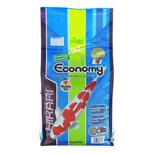 Hikari Koi Economy Floating Pellet Fish Food - Premium Floating Pellets for Koi, Goldfish & Pond Fish - Ideal for Outdoor Ponds, Water Gardens & Aquariums