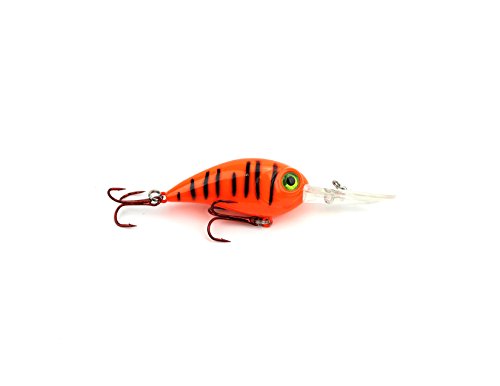 Orange Tiger